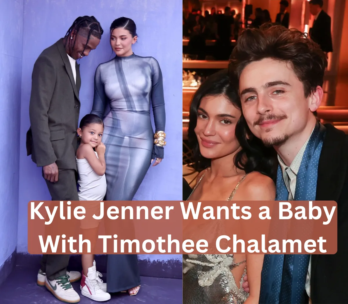 Kylie Jenner Wants a Baby With Timothee Chalamet